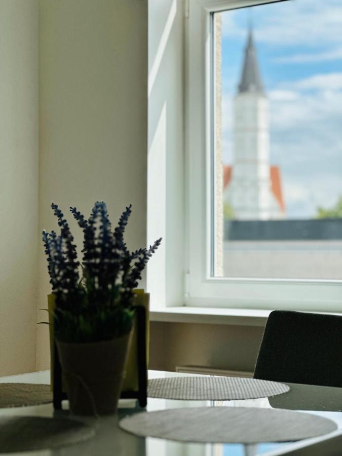 Butas Paciame Siauliu Miesto Centre Leilighet Šiauliai Eksteriør bilde